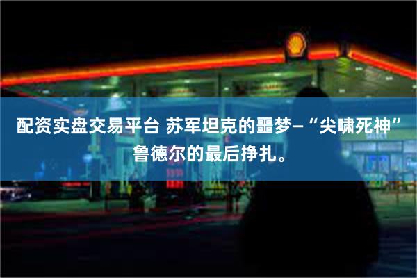 配资实盘交易平台 苏军坦克的噩梦—“尖啸死神”鲁德尔的最后挣扎。