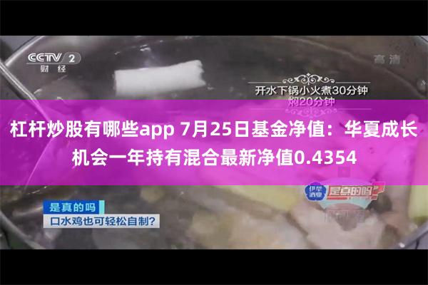 杠杆炒股有哪些app 7月25日基金净值：华夏成长机会一年持有混合最新净值0.4354