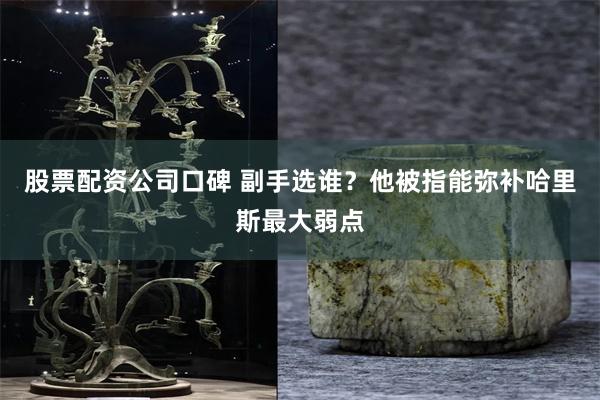 股票配资公司口碑 副手选谁？他被指能弥补哈里斯最大弱点