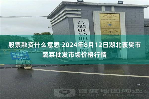 股票融资什么意思 2024年8月12日湖北襄樊市蔬菜批发市场价格行情