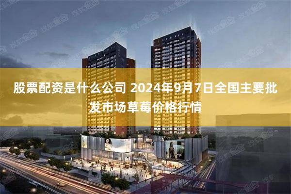 股票配资是什么公司 2024年9月7日全国主要批发市场草莓价格行情