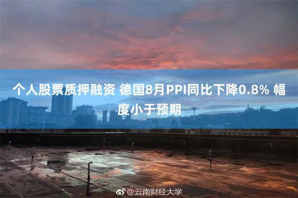 个人股票质押融资 德国8月PPI同比下降0.8% 幅度小于预期