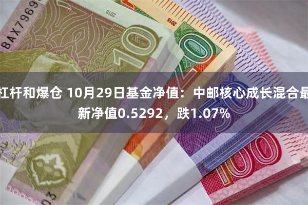 杠杆和爆仓 10月29日基金净值：中邮核心成长混合最新净值0.5292，跌1.07%