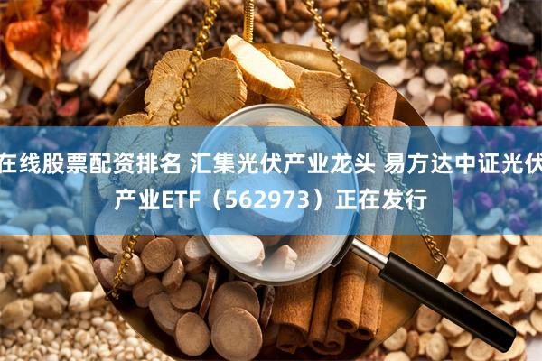 在线股票配资排名 汇集光伏产业龙头 易方达中证光伏产业ETF（562973）正在发行