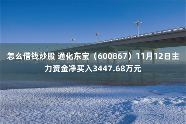 怎么借钱炒股 通化东宝（600867）11月12日主力资金净买入3447.68万元