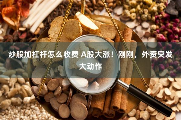 炒股加杠杆怎么收费 A股大涨！刚刚，外资突发大动作