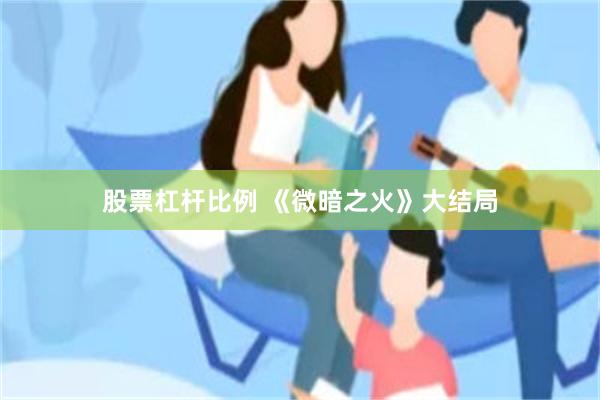 股票杠杆比例 《微暗之火》大结局