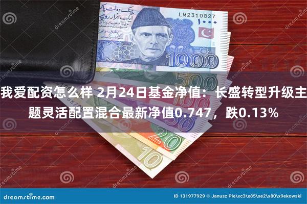 我爱配资怎么样 2月24日基金净值：长盛转型升级主题灵活配置混合最新净值0.747，跌0.13%