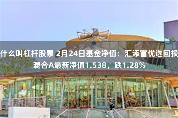 什么叫杠杆股票 2月24日基金净值：汇添富优选回报混合A最新净值1.538，跌1.28%